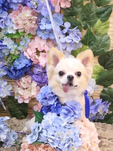 20250615ランくん